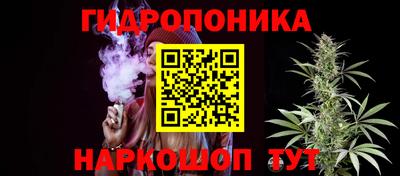 стаф Краснокаменск